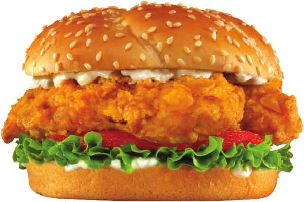 BURGER ORIENTAL